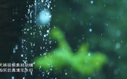 春雨直播视频观看完整版 魅影直播