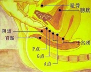 看女的拉屎的部位 看女的拉屎的部位在哪里