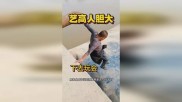 艺高人胆大属于什么效能 艺高人胆大是什么意思啊