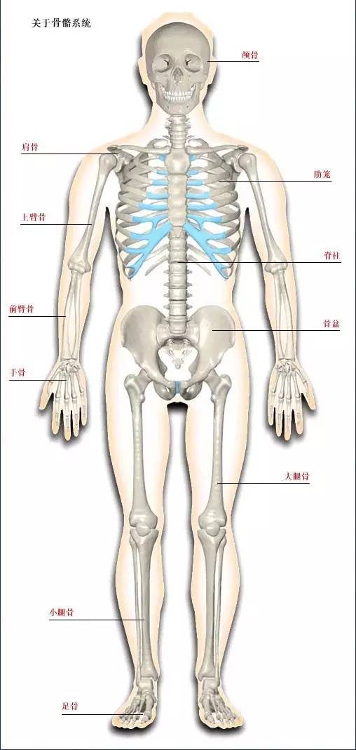 gogo人体高清大胆掰阴图 