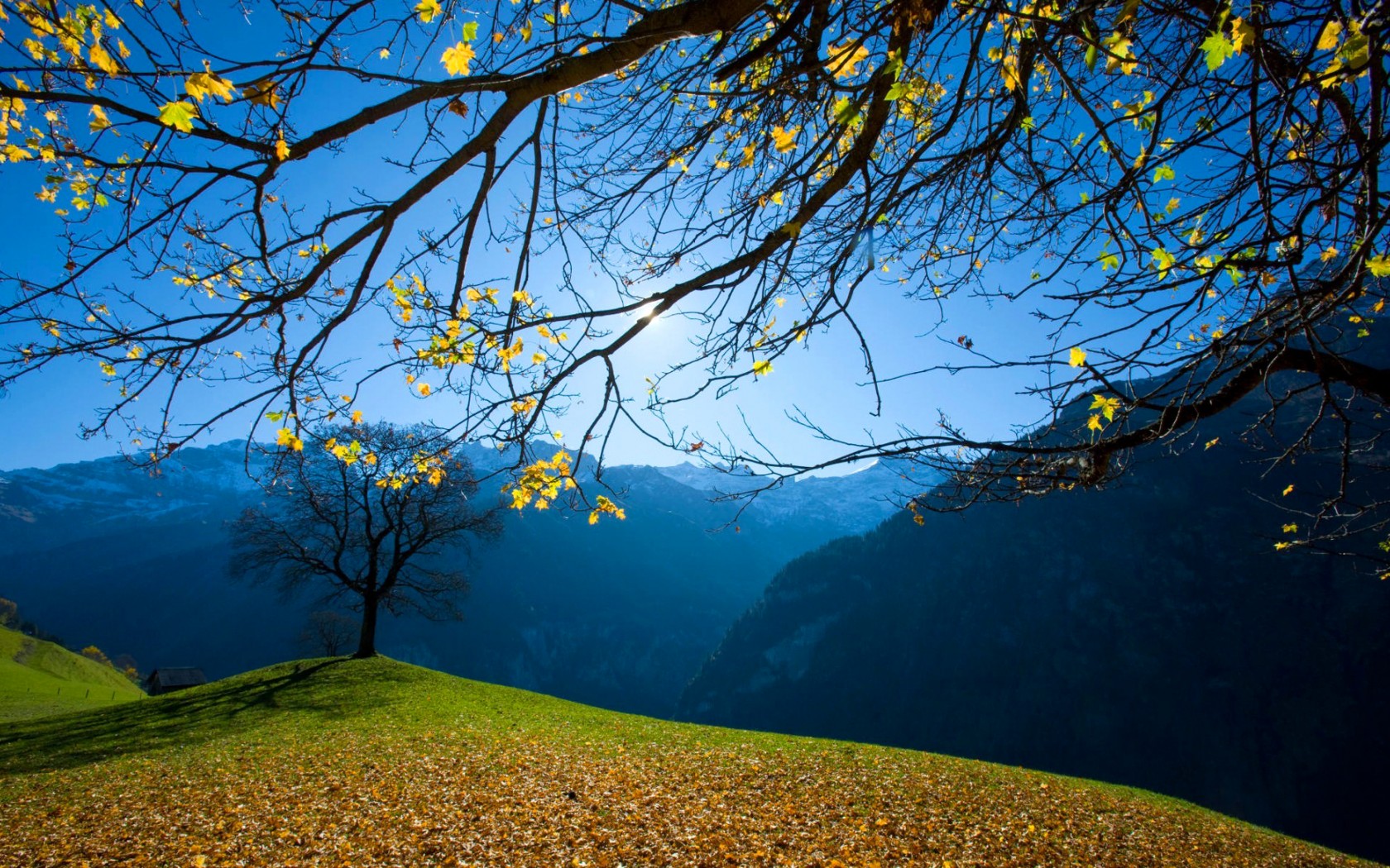 风景图片大全大自然花草山水 风景图片大全 大自然山水 风景图片下载