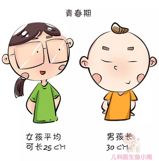 我乳房发育正常吗如图宝宝知道 我乳房发育正常吗如图宝宝知道是男孩