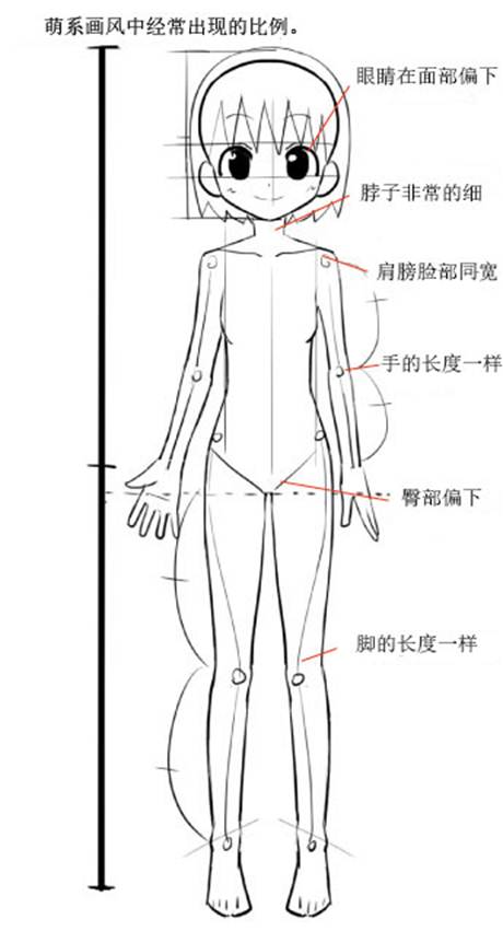 人体图 人体图胃在哪个部位