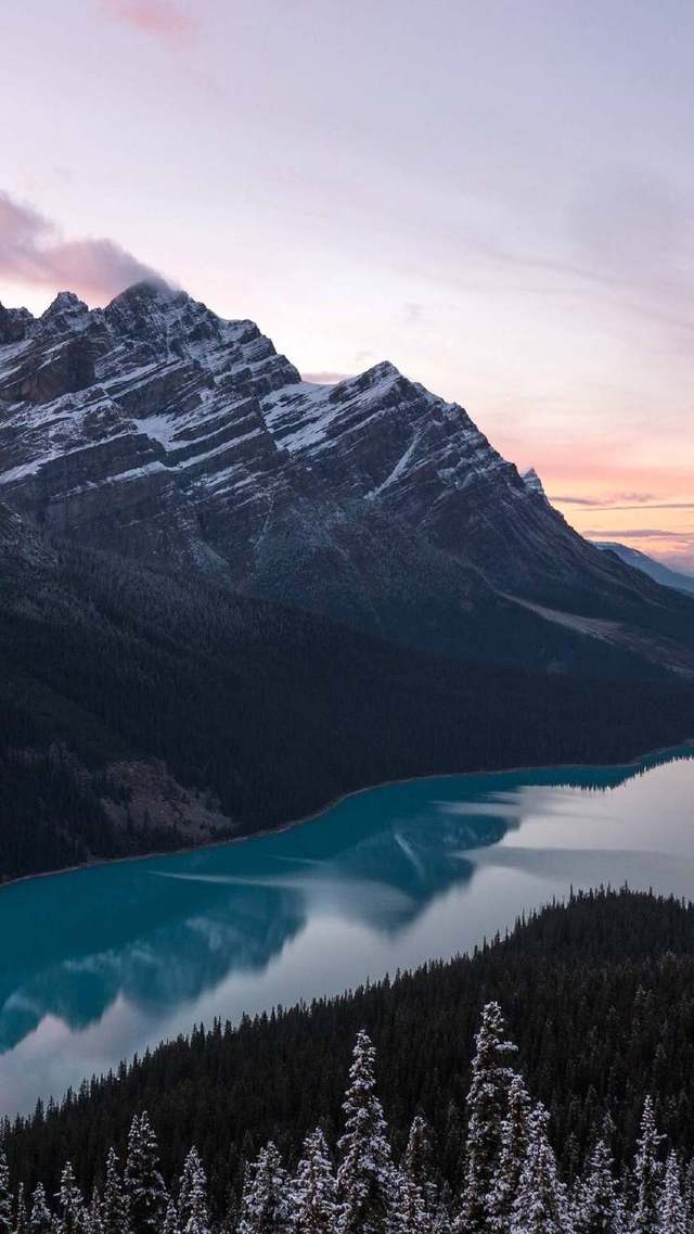 高清手机壁纸风景 高清手机壁纸风景花朵