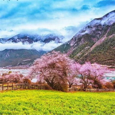 女人最旺财的微信头像风景 属猪女人最旺财的微信头像风景